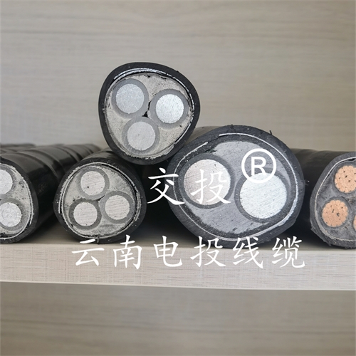 www.dmi2a.cn