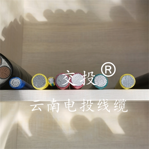 www.dmi2a.cn