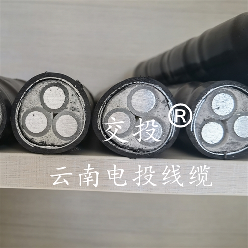 www.dmi2a.cn