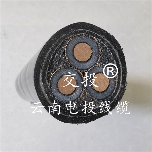 www.dmi2a.cn