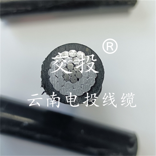 www.dmi2a.cn