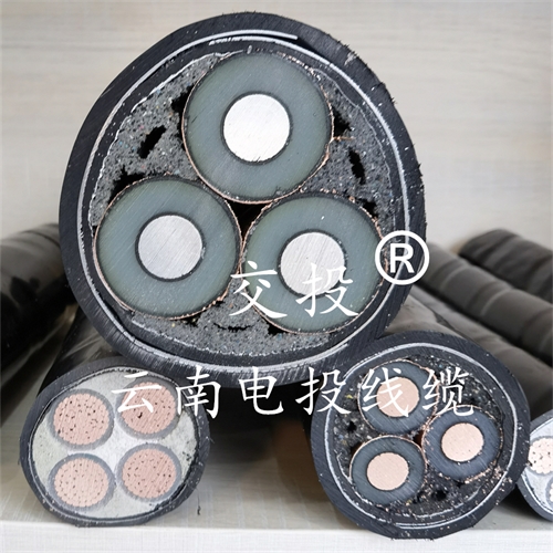 www.dmi2a.cn