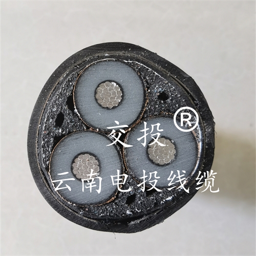 www.dmi2a.cn