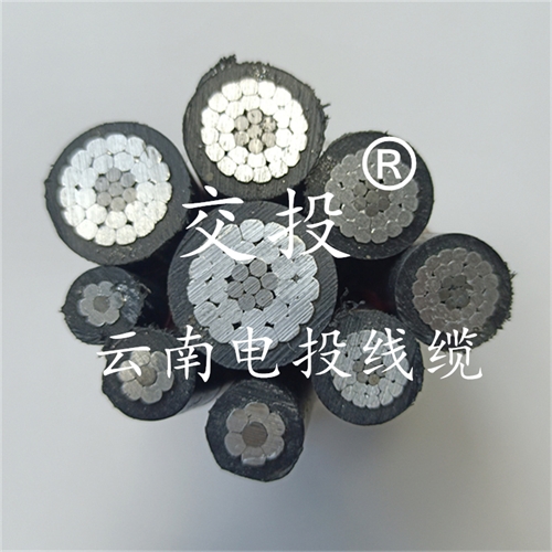 www.dmi2a.cn
