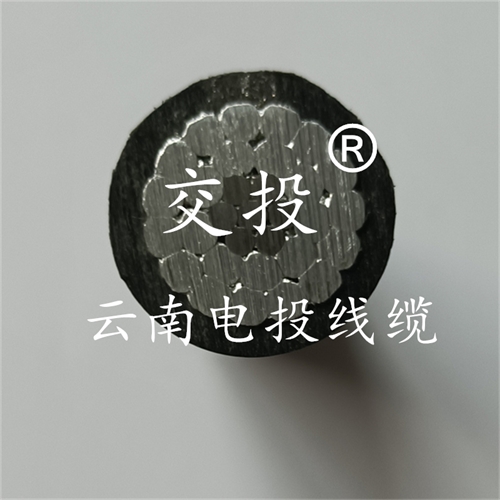 www.dmi2a.cn