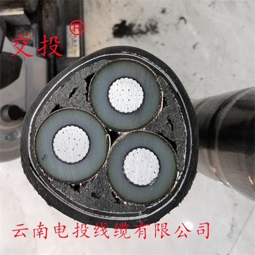 www.dmi2a.cn
