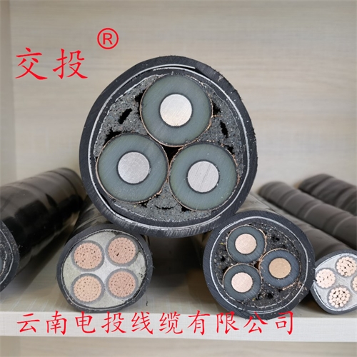 www.dmi2a.cn