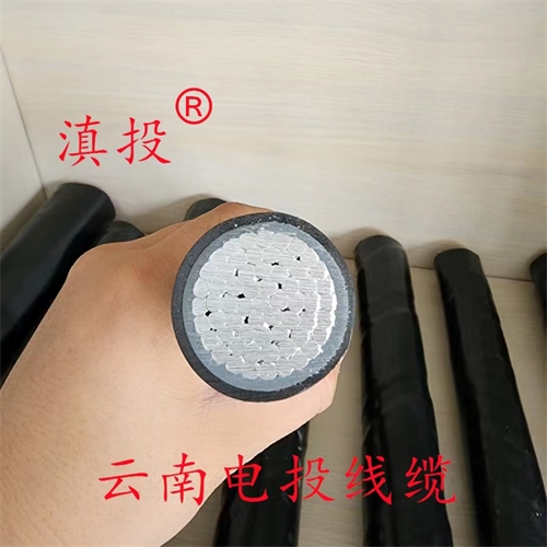 www.dmi2a.cn