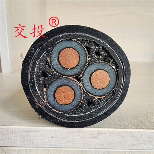 www.dmi2a.cn