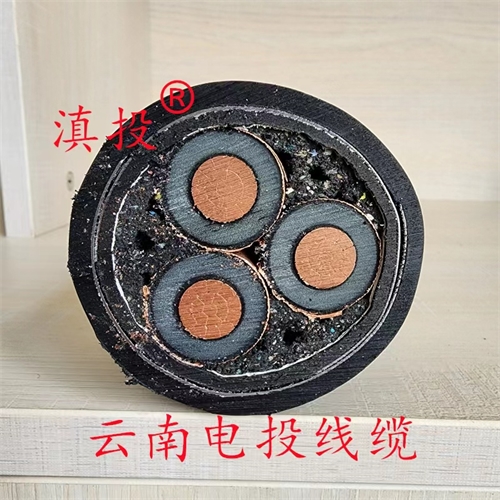 www.dmi2a.cn