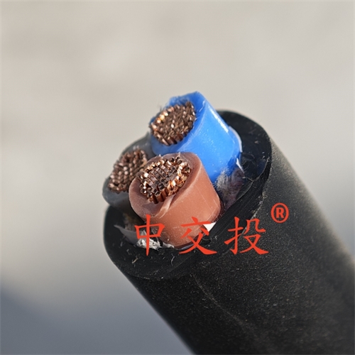 www.dmi2a.cn