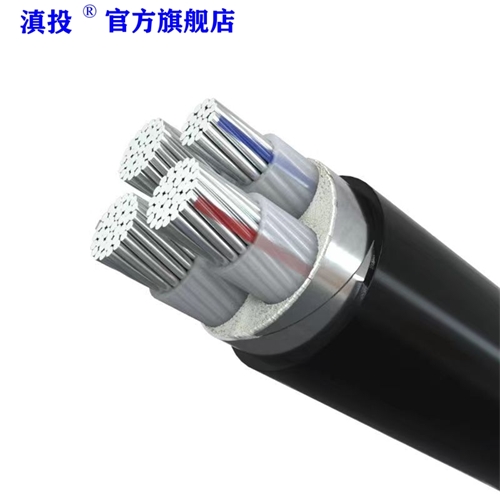 www.dmi2a.cn
