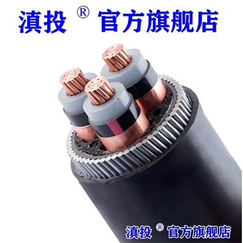 www.dmi2a.cn