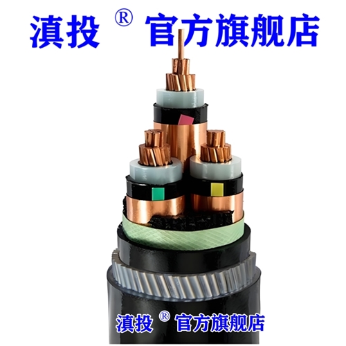 www.dmi2a.cn