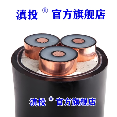 www.dmi2a.cn