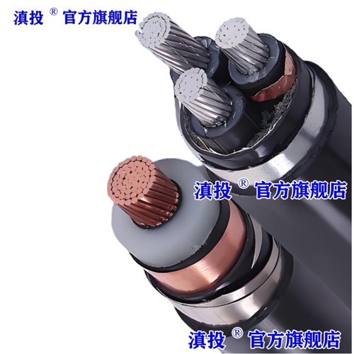 www.dmi2a.cn